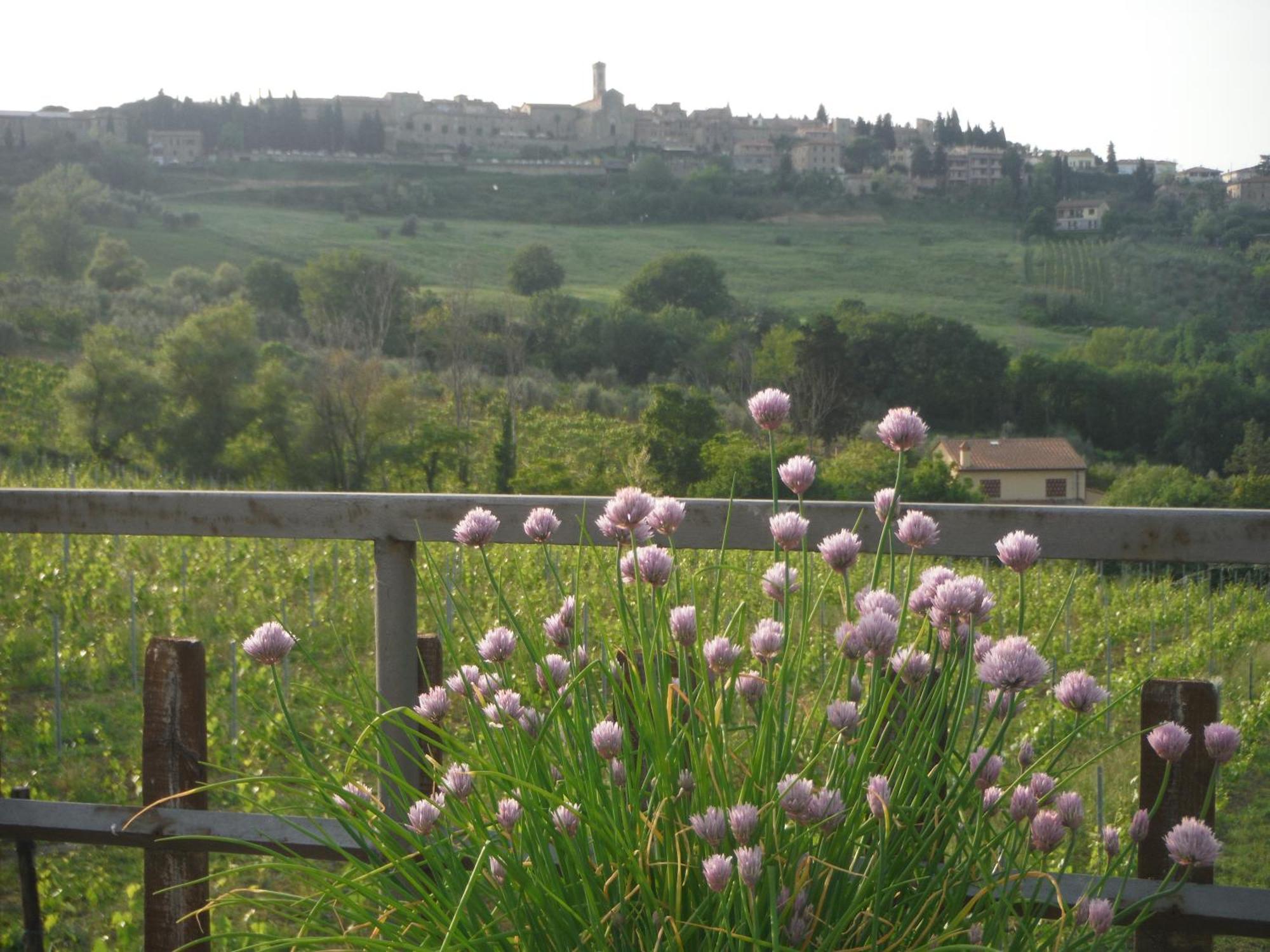 Due Piani Villa Barberino di Val dʼElsa Exteriör bild