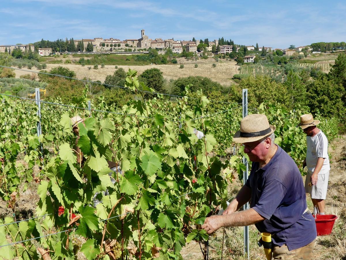 Due Piani Villa Barberino di Val dʼElsa Exteriör bild